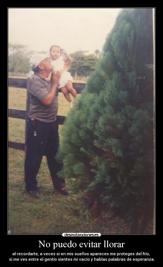 No puedo evitar llorar - al recordarte, a veces si en mis sueños apareces me proteges del frío,
si me ves entre el gentío sientes mi vacío y hablas palabras de esperanza.