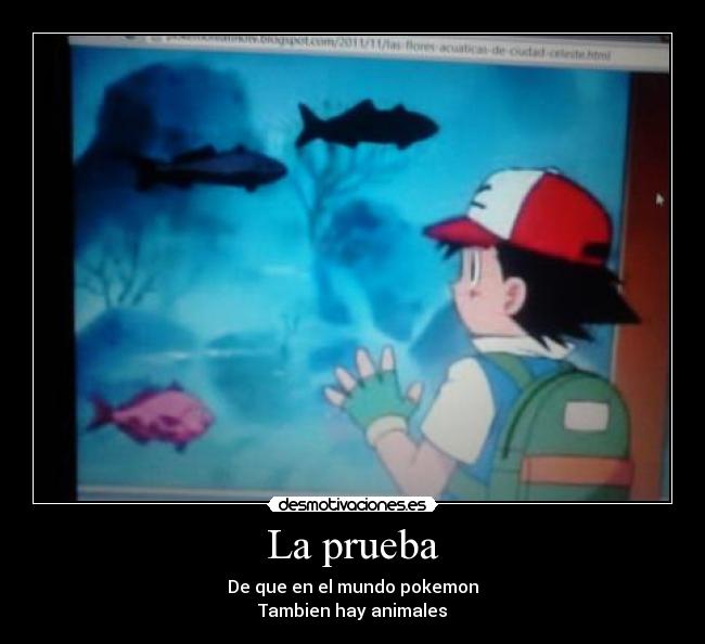 La prueba - 