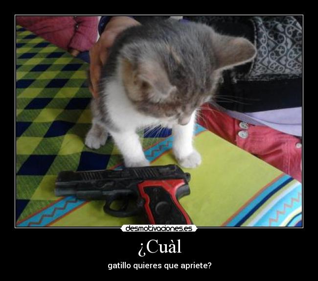 ¿Cuàl -