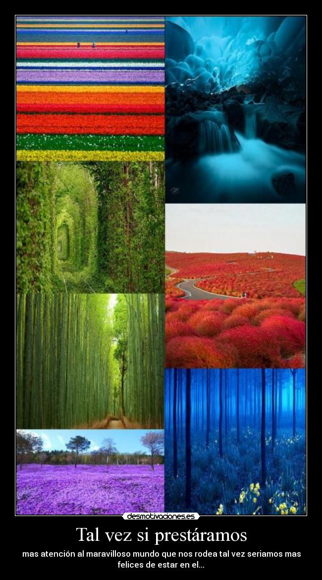 Tal vez si prestáramos -