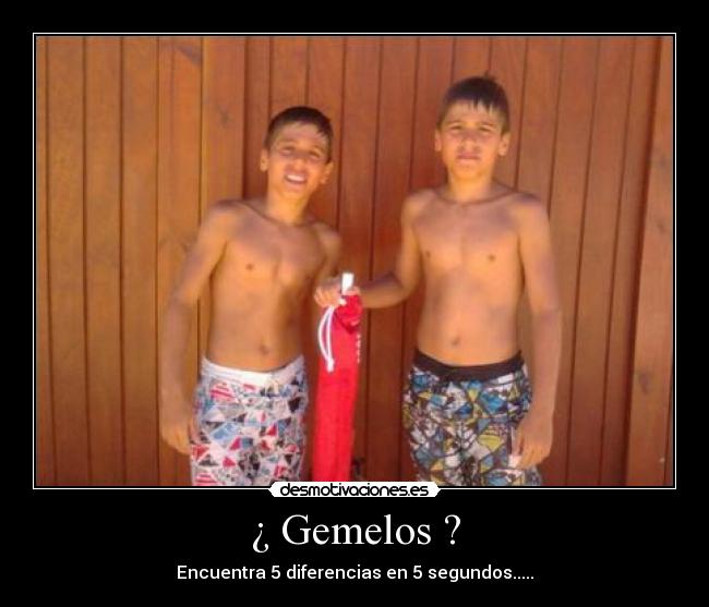 carteles gemelos desmotivaciones