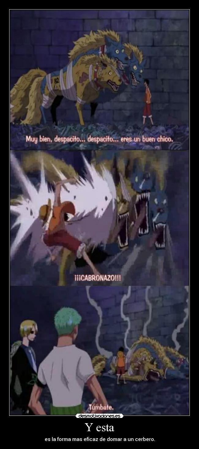 carteles luffy encantador perros xddd desmotivaciones