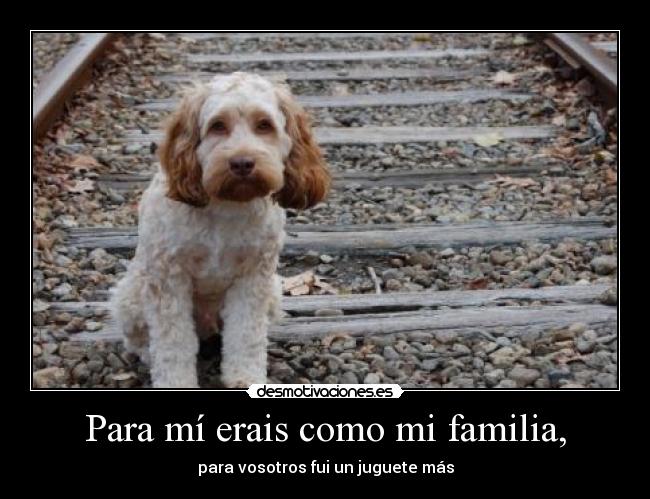 Para mí erais como mi familia, -