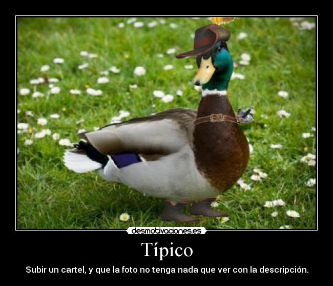 Típico -