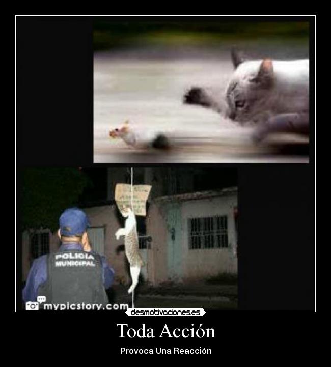 carteles accion reaccion desmotivaciones