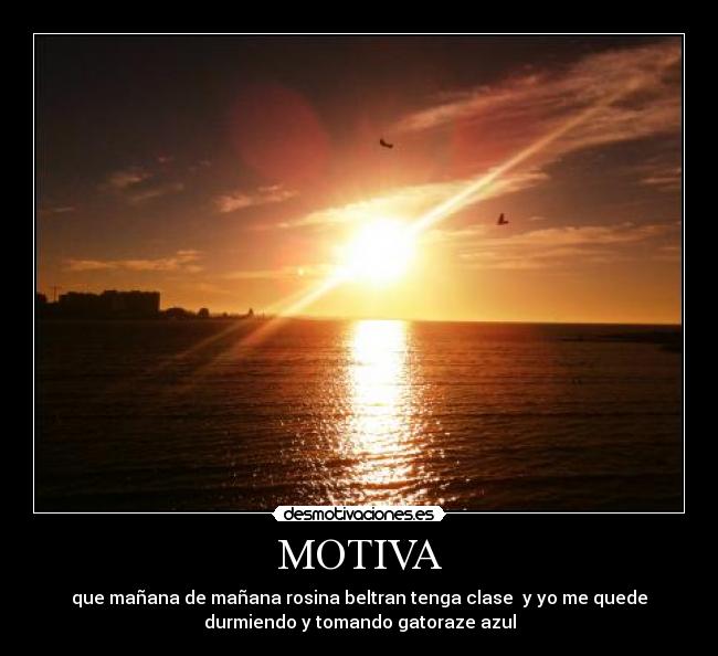 MOTIVA - 