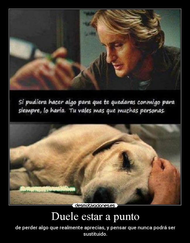 carteles duele desmotivaciones