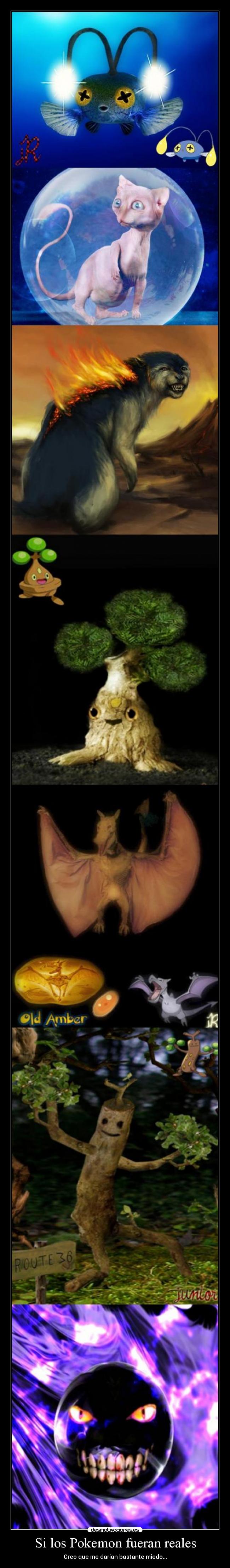 Si los Pokemon fueran reales -