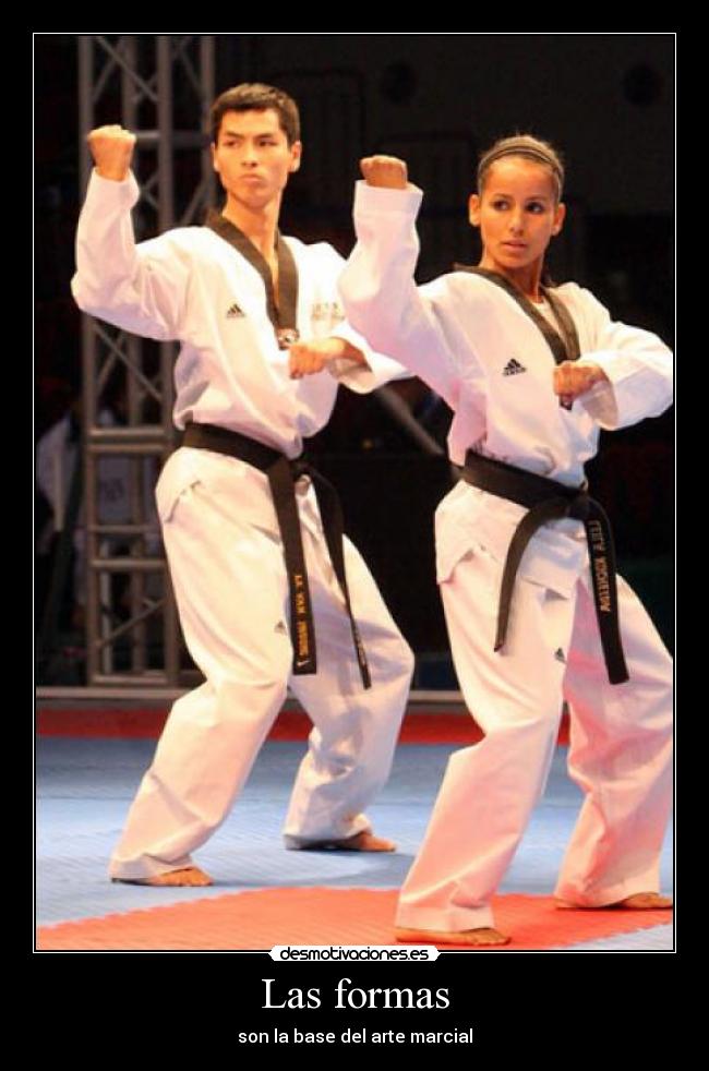 carteles taekwondo desmotivaciones