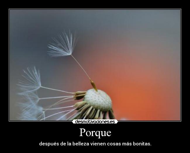Porque - después de la belleza vienen cosas más bonitas.