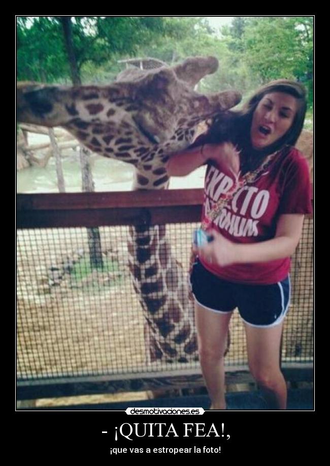 - ¡QUITA FEA!, - ¡que vas a estropear la foto!