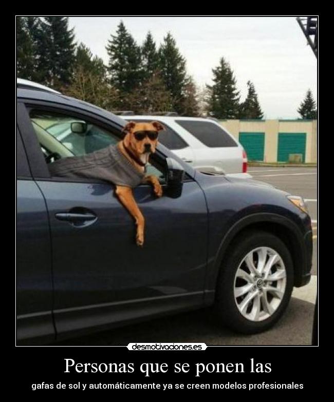 Personas que se ponen las - 