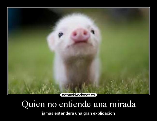 Quien no entiende una mirada - jamás entenderá una gran explicación