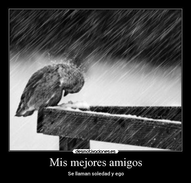 Mis mejores amigos - Se llaman soledad y ego