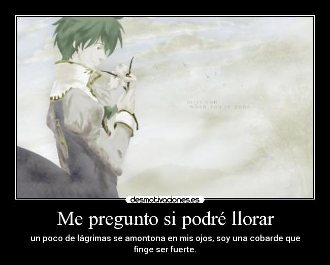 Me pregunto si podré llorar -
