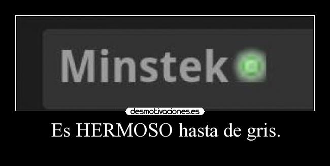 Es HERMOSO hasta de gris. -