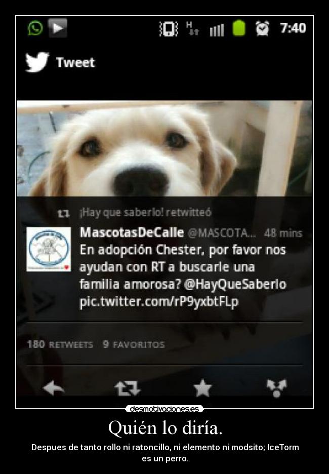 Quién lo diría. - Despues de tanto rollo ni ratoncillo, ni elemento ni modsito; IceTorm es un perro.