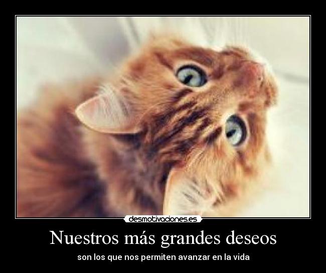 Nuestros más grandes deseos - son los que nos permiten avanzar en la vida