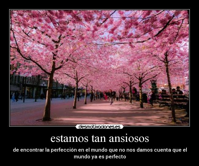 estamos tan ansiosos -