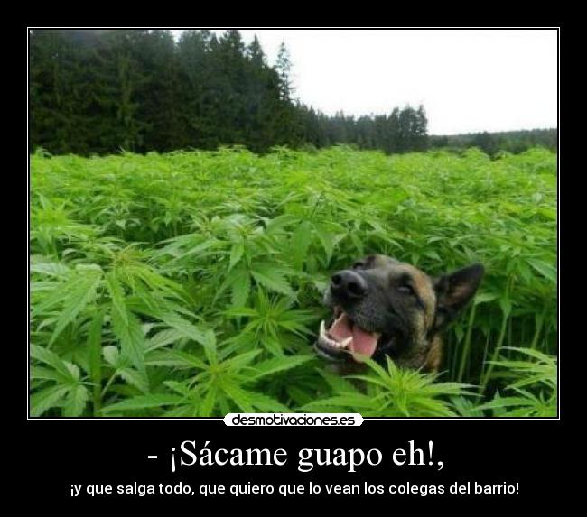 - ¡Sácame guapo eh!, - ¡y que salga todo, que quiero que lo vean los colegas del barrio!