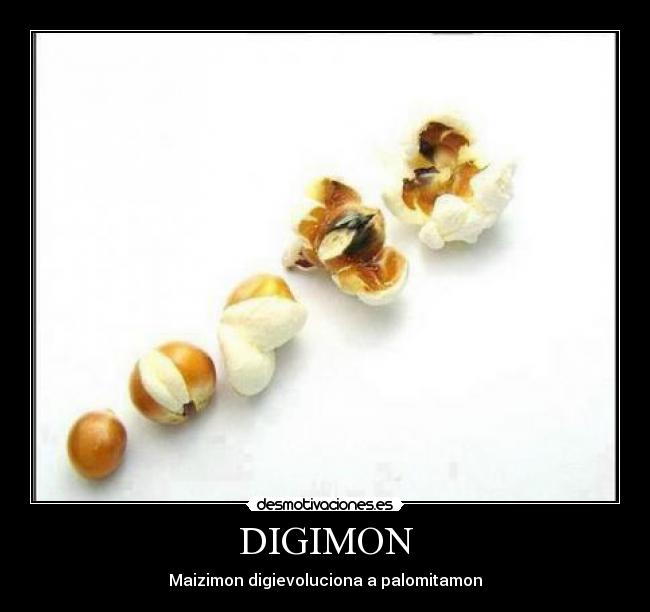 DIGIMON - Maizimon digievoluciona a palomitamon