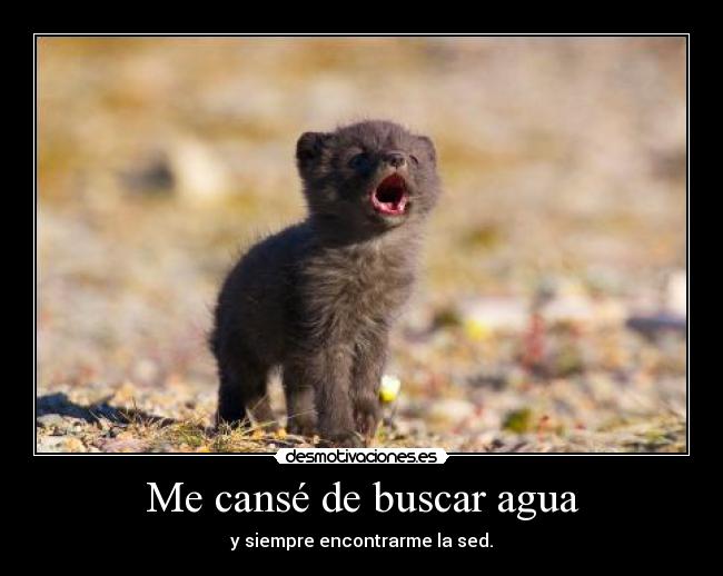 Me cansé de buscar agua -