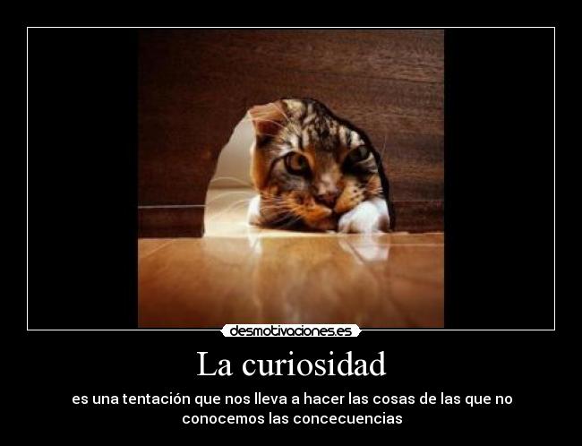 La curiosidad - es una tentación que nos lleva a hacer las cosas de las que no
conocemos las concecuencias