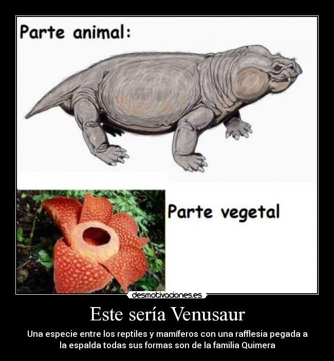 Este sería Venusaur - 