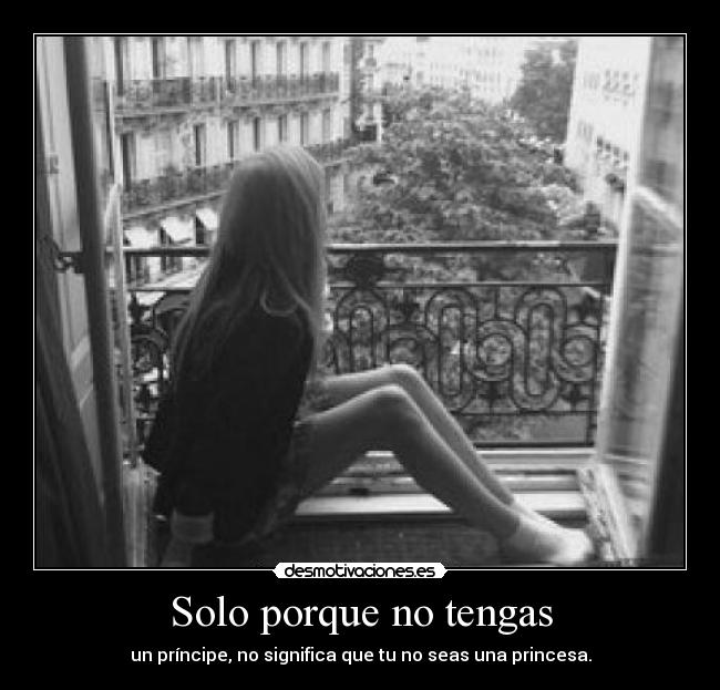 carteles princesss desmotivaciones