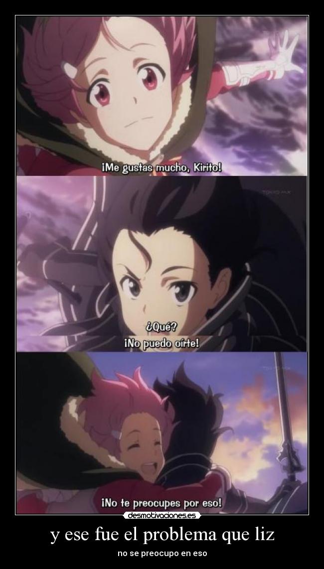 y ese fue el problema que liz - no se preocupo en eso