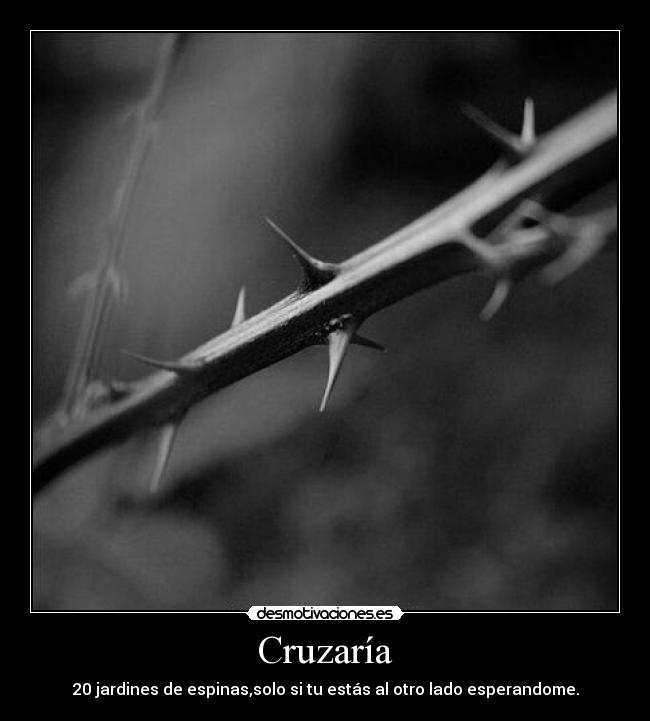 Cruzaría - 20 jardines de espinas,solo si tu estás al otro lado esperandome.