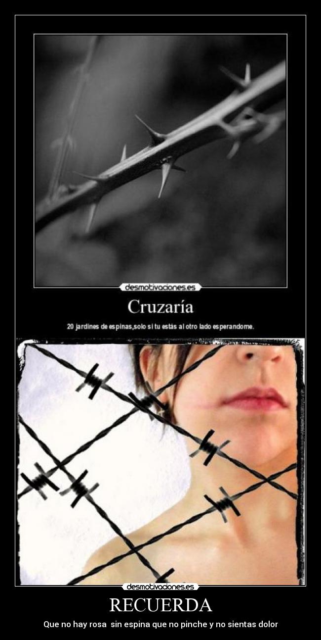 RECUERDA - Que no hay rosa sin espina que no pinche y no sientas dolor