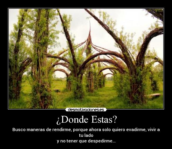 ¿Donde Estas? - Busco maneras de rendirme, porque ahora solo quiero evadirme, vivir a tu lado
y no tener que despedirme...