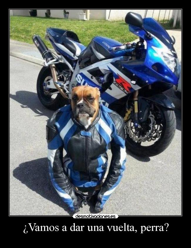 carteles ajjaajja que maaaaal desmotivaciones