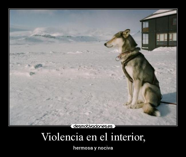 Violencia en el interior, - hermosa y nociva