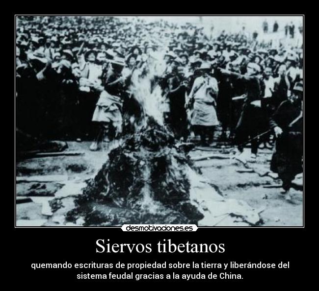 Siervos tibetanos - 