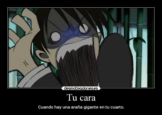 carteles anime manga xxxholic holic kimihiro watanuki yuuko mokona modoki cara cuando hay una arana gigan desmotivaciones