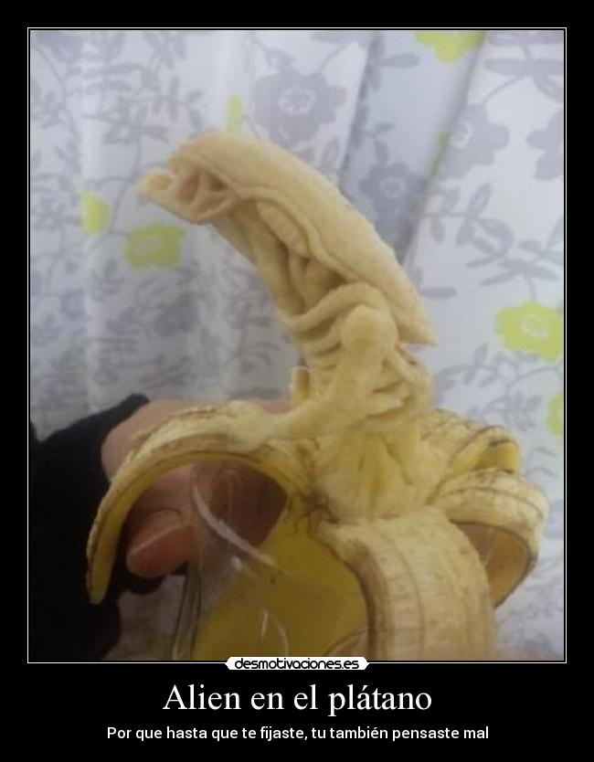 carteles alien desmotivaciones