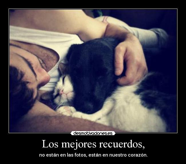 Los mejores recuerdos, -