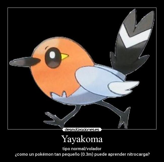 Yayakoma - tipo normal/volador
¿como un pokémon tan pequeño (0.3m) puede aprender nitrocarga?