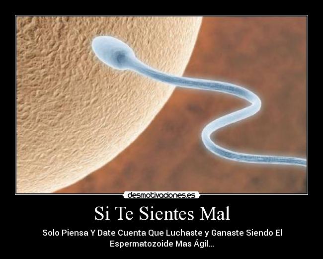 Si Te Sientes Mal - Solo Piensa Y Date Cuenta Que Luchaste y Ganaste Siendo El
Espermatozoide Mas Ágil...