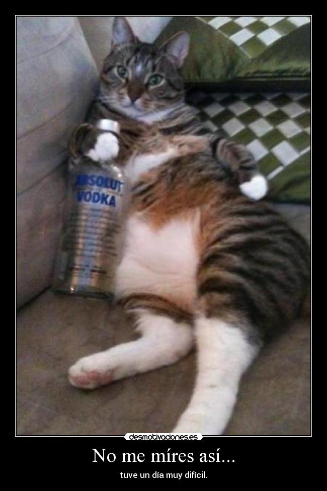 No me míres así... -