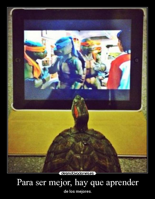 carteles nyynyny desmotivaciones