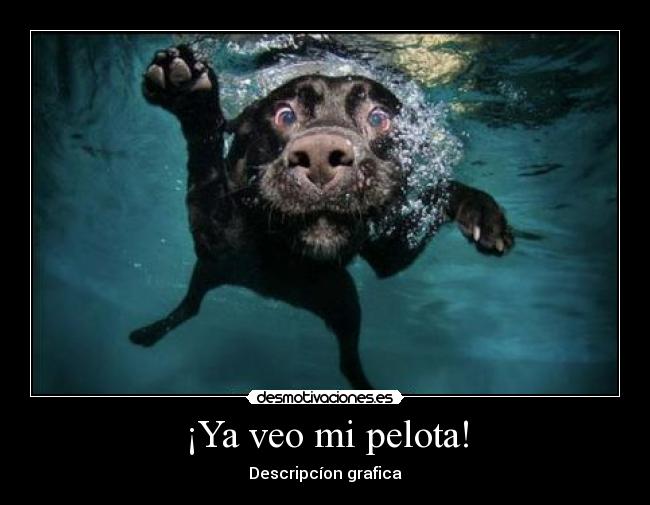 ¡Ya veo mi pelota! - Descripcíon grafica