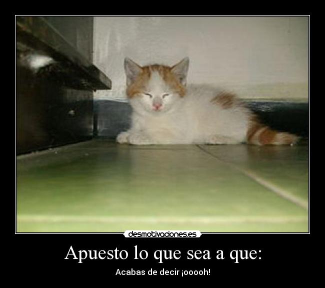Apuesto lo que sea a que: - Acabas de decir ¡ooooh!