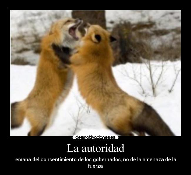 La autoridad - 