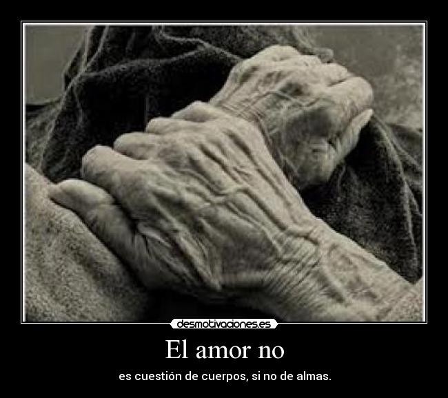 El amor no -