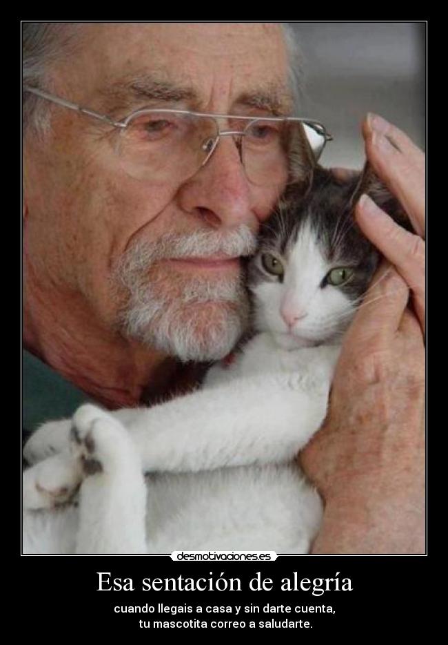 Esa sentación de alegría - cuando llegais a casa y sin darte cuenta,
tu mascotita correo a saludarte.