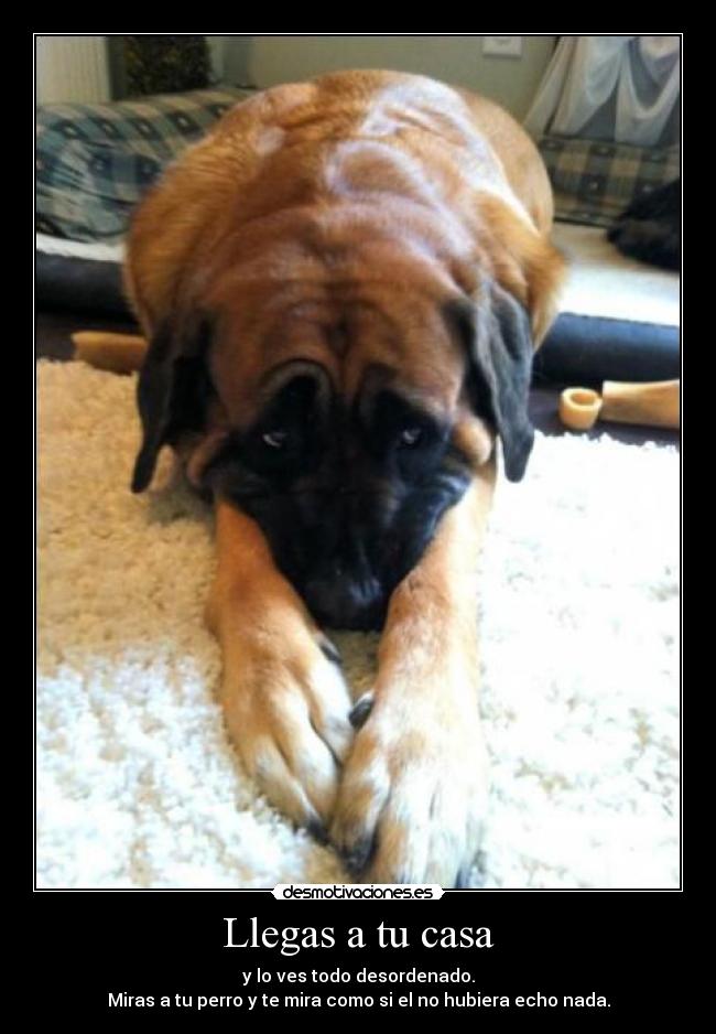 carteles casa misenplase desmotivaciones