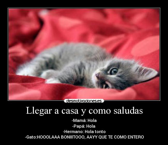Llegar a casa y como saludas - -Mamá: Hola
-Papá: Hola
-Hermano: Hola tonto
-Gato:HOOOLAAA BONIIITOOO, AAYY QUE TE COMO ENTERO